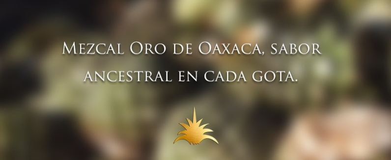 Crema de Maguey Oro de Oaxaca